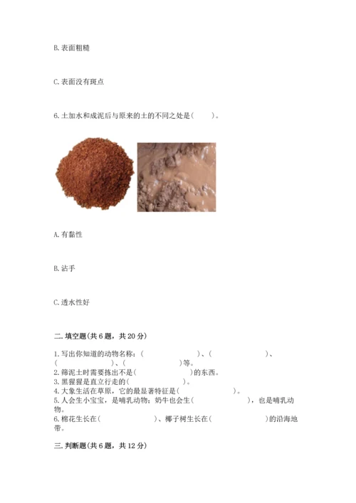 苏教版一年级下册科学期末测试卷精品（历年真题）.docx