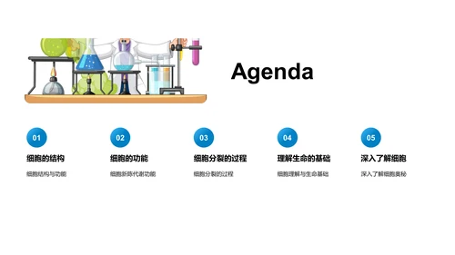 细胞结构功能教学PPT模板