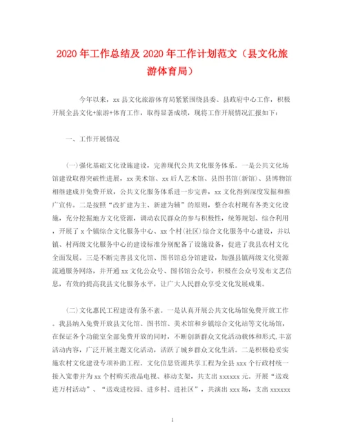 精编之经典范文年工作总结及年工作计划范文（县文化旅游体育局）.docx