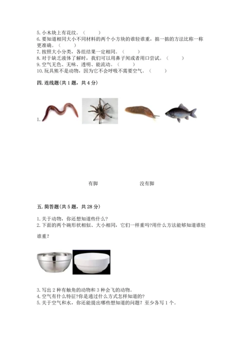 教科版一年级下册科学期末测试卷（能力提升）.docx