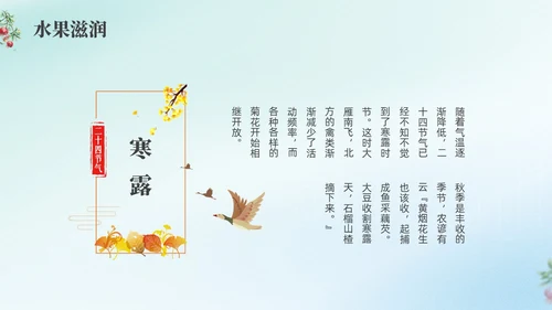 彩色弥撒寒露养生二十四节气PPT课件