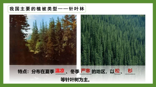 3.6 爱护植被，绿化祖国2023-2024学年七年级生物上册精品课件（人教版）(共21张PPT)