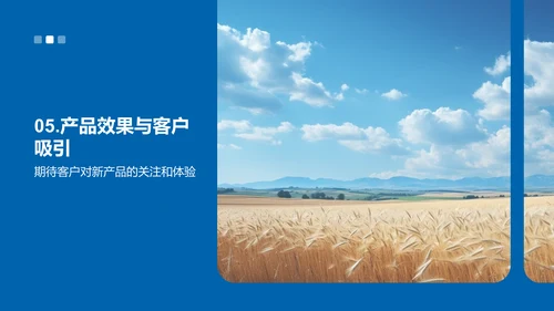 小满节气与新产品创新