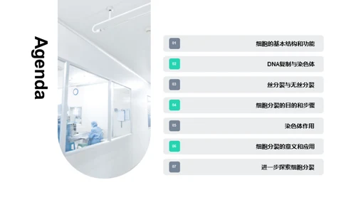 揭秘细胞分裂的奇妙之旅