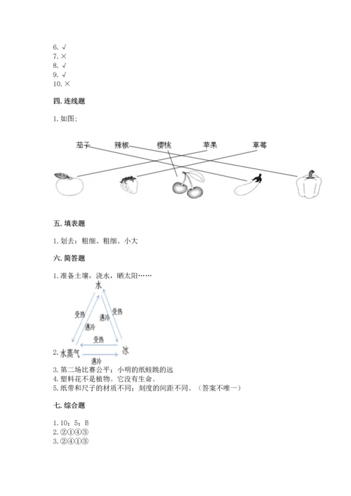 教科版科学一年级上册期末测试卷（精品）word版.docx