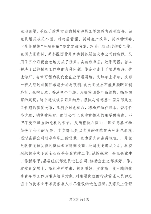 对XX县区非公有制经济组织党建工作的探索与实践 (2).docx