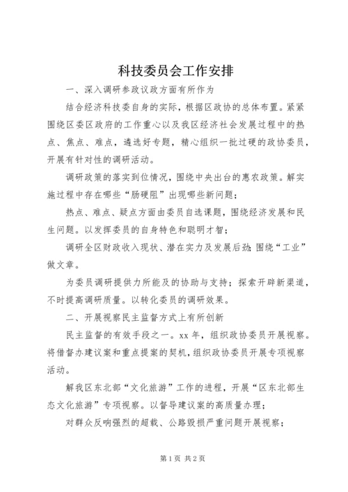 科技委员会工作安排 (2).docx