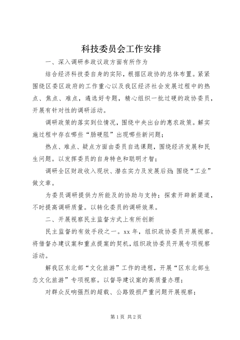 科技委员会工作安排 (2).docx