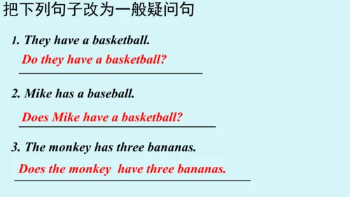 Unit 5 Grammar Focus课件 （人教新目标七年级上册Unit 5 Do you ha