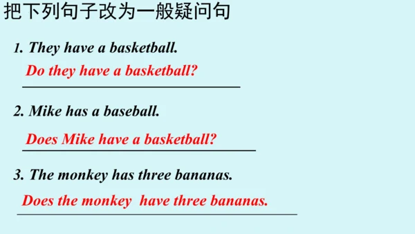 Unit 5 Grammar Focus课件 （人教新目标七年级上册Unit 5 Do you ha