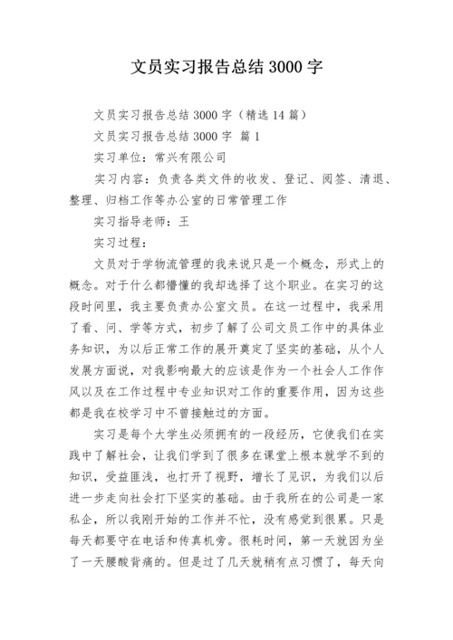 文员实习报告总结3000字.docx