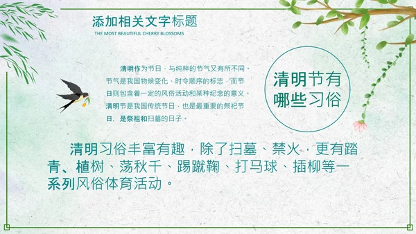 绿色小清新清明节文化习俗介绍主题班会ppt模板