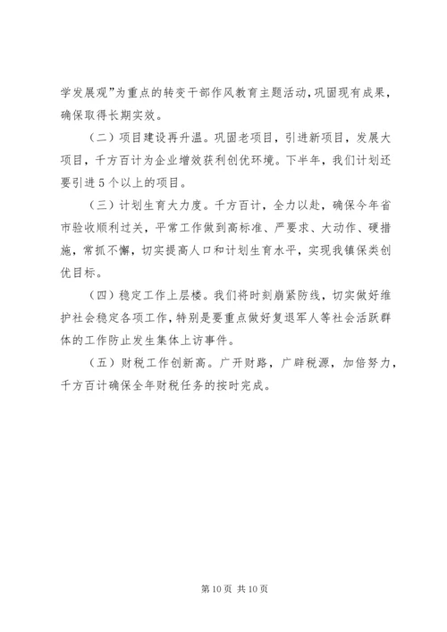乡镇年度政府上半年工作报告.docx
