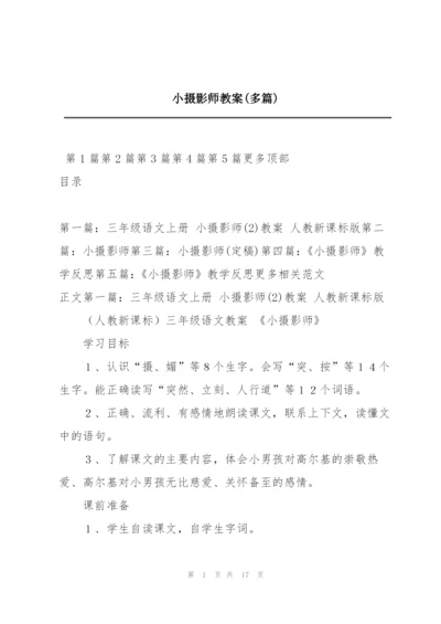 小摄影师教案(多篇).docx