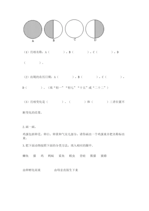 教科版科学三年级下册 期末测试卷附参考答案（预热题）.docx