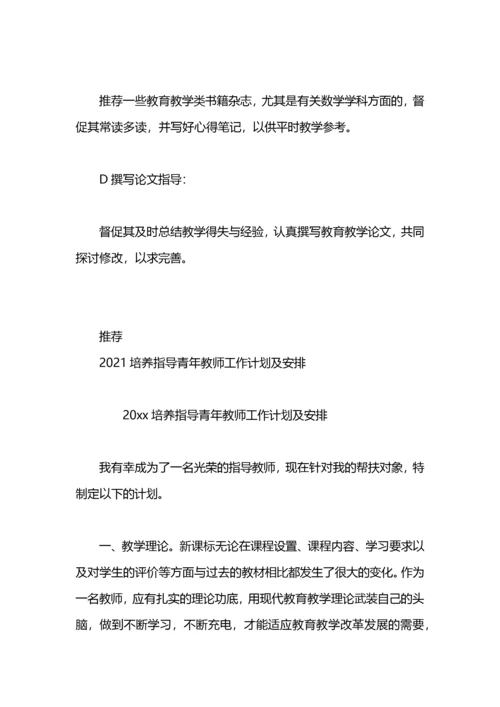 指导教师工作计划 指导教师培养计划.docx