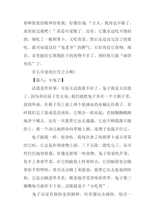 小兔子的作文.docx