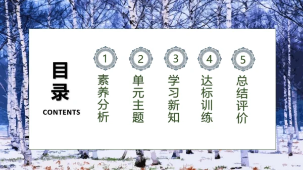 【核心素养】部编版语文四年级下册-11.白桦 第1课时（课件）