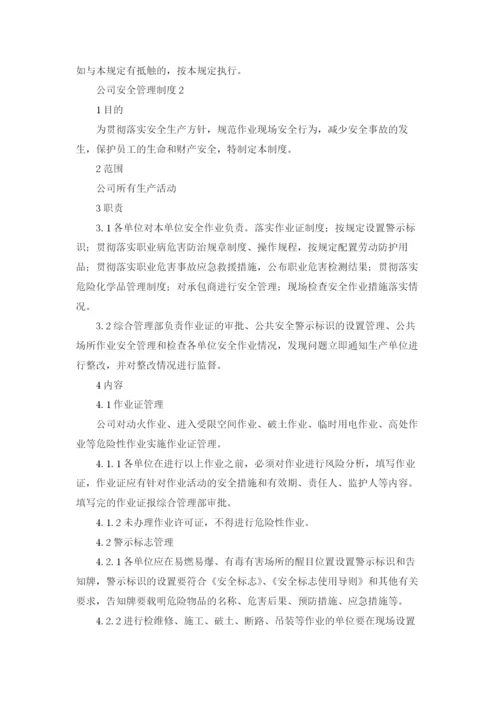 公司安全管理制度.docx