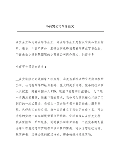 小商贸公司简介范文.docx