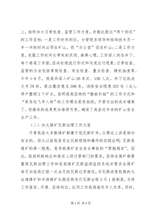 矿产局上半年工作总结及下半年工作计划.docx