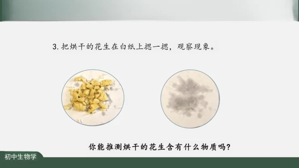 2.1.4  细胞的生活 课件（共26张PPT）