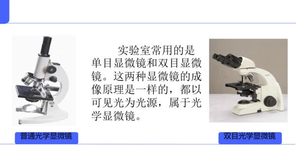 人教版（2024）七年级上册1.2.1 学习使用显微镜 课件(共29张PPT)