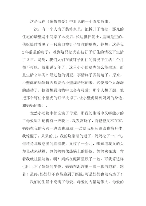 母爱的力量作文450字.docx