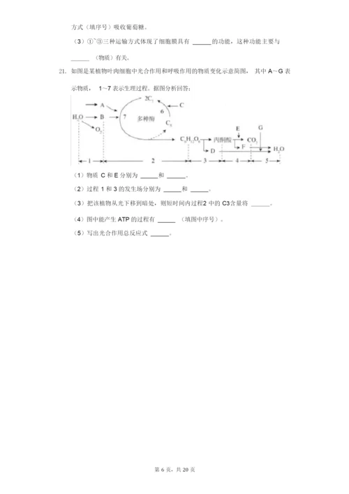 2021-2022学年广东省揭阳市揭东区高一(上)期末生物试卷(附答案详解).docx