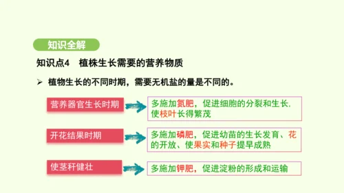 第三单元-第一章-第二节-植株的生长课件-2024-2025学年七年级生物下学期人教版(2024)(