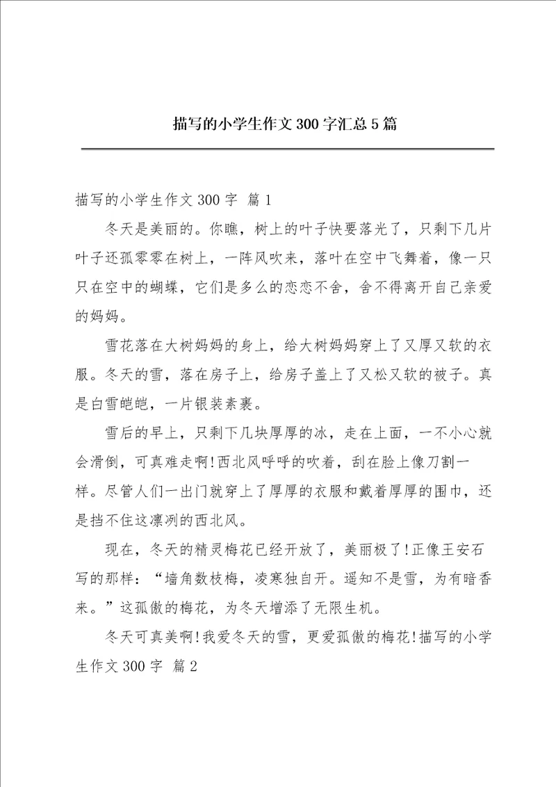 描写的小学生作文300字汇总5篇