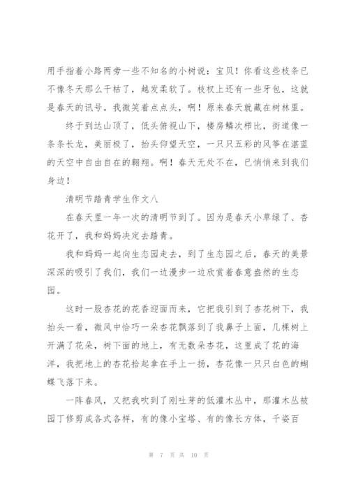 清明节踏青学生作文10篇.docx