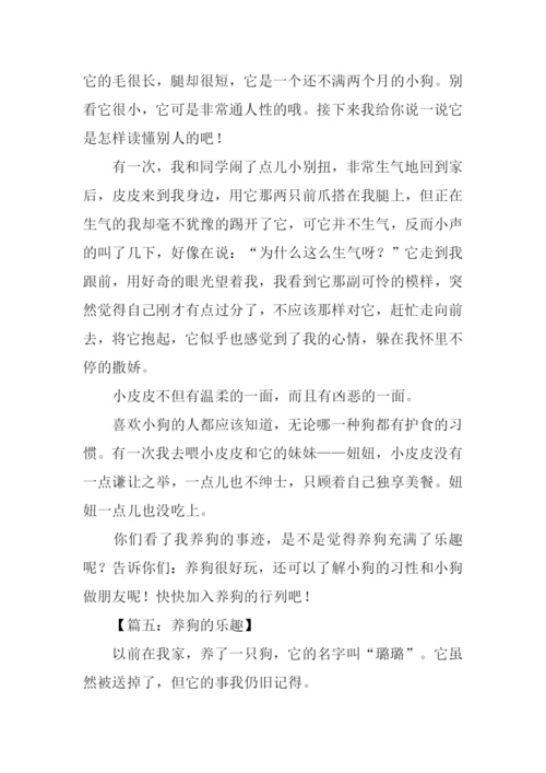 养狗的乐趣作文500字.docx