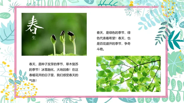 小学语文春天的故事PPT模板