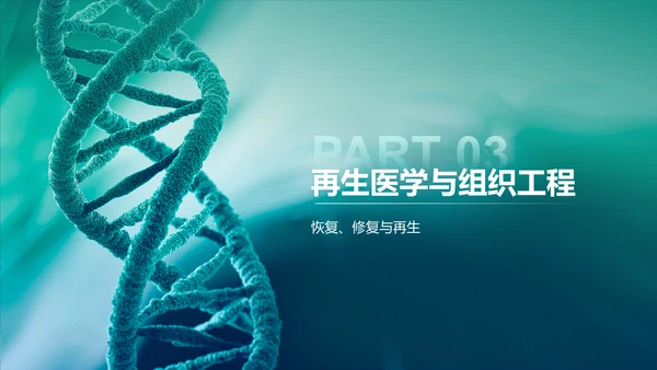 绿色简约风生物医疗创新技术培训PPT模板