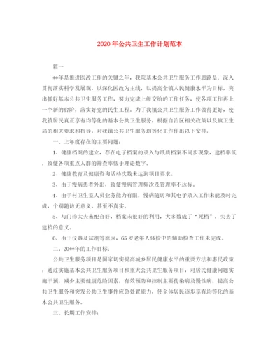 精编之年公共卫生工作计划范本.docx