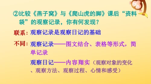 11 蟋蟀的住宅  课件