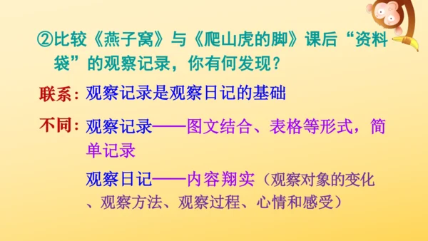 11 蟋蟀的住宅  课件