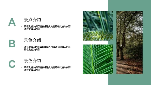 绿色简约风旅游出行安排通用PPT模板