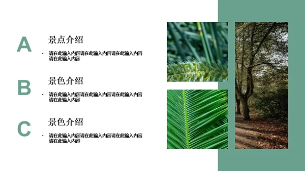绿色简约风旅游出行安排通用PPT模板