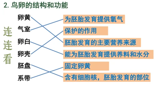 八下 第七单元复习课件(共58张PPT)