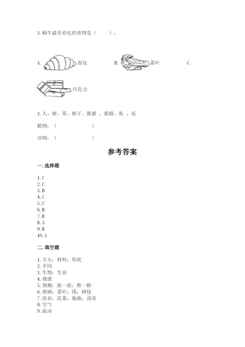 教科版一年级下册科学期末测试卷及参考答案【综合卷】.docx