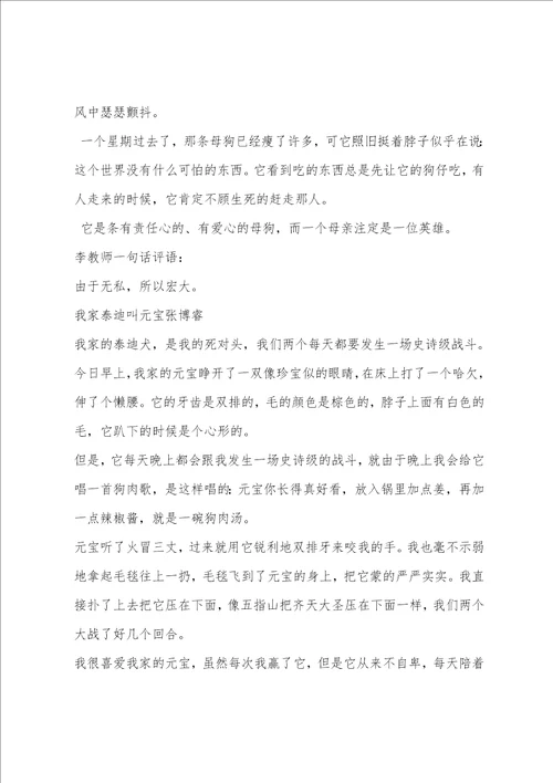 关于我和小动物的故事作文400字的作文