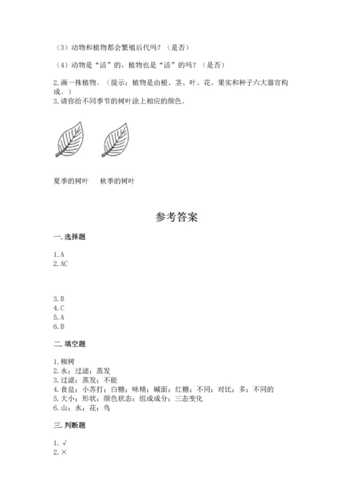 教科版科学一年级上册第一单元《植物》测试卷【a卷】.docx