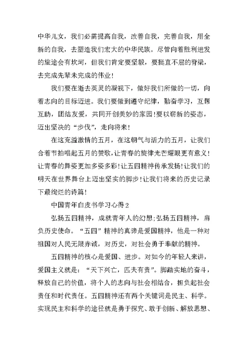 中国青年白皮书学习心得通用10篇