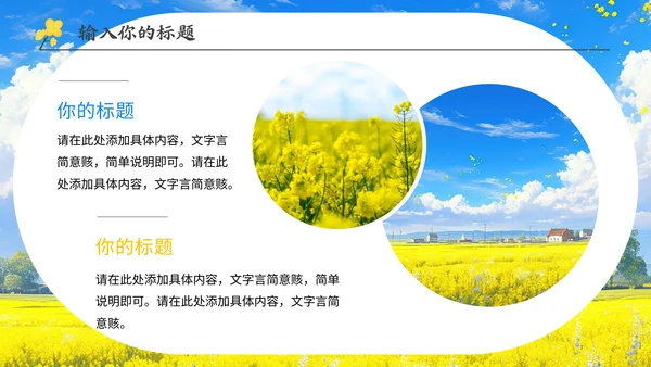油菜花开春游活动通用PPT模板