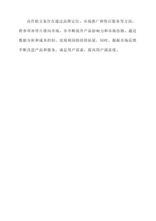 参茸补肾片营销方案