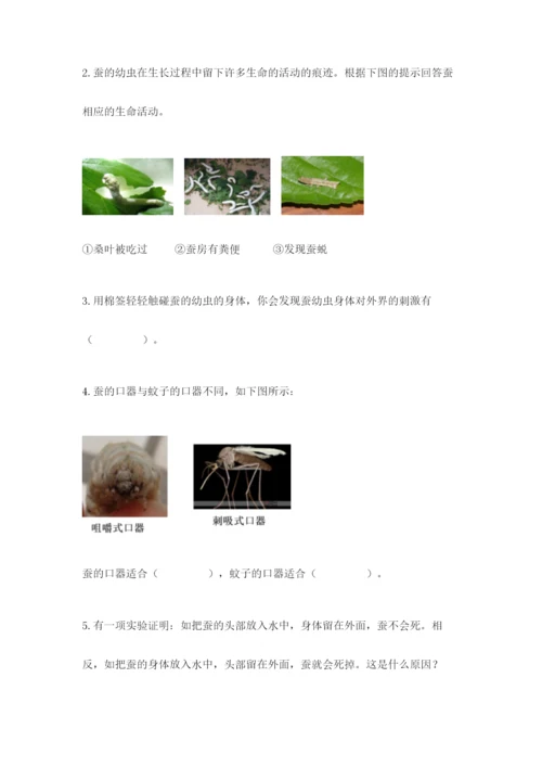教科版科学三年级下册期末测试卷精品加答案.docx