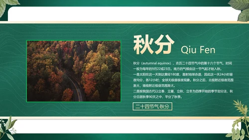 绿色花卉古风传统二十四节气科普主题教育PPT模板