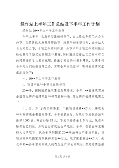 经作站上半年工作总结及下半年工作计划 (2).docx